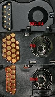 BG-E4