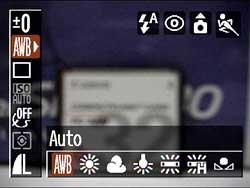 Menu Canon A80