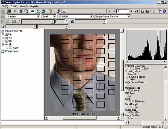 FileViewerUtility