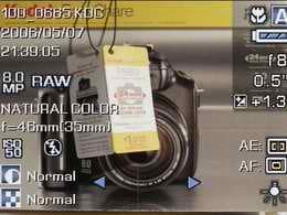 RAW file developer