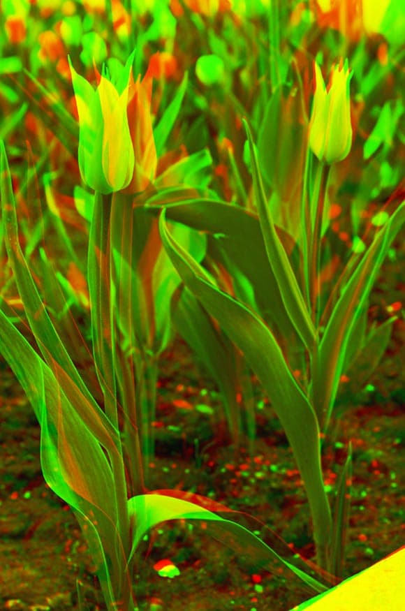 Magic Lantern