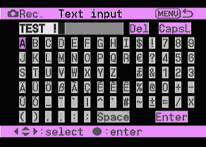 Text input