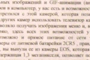 текст