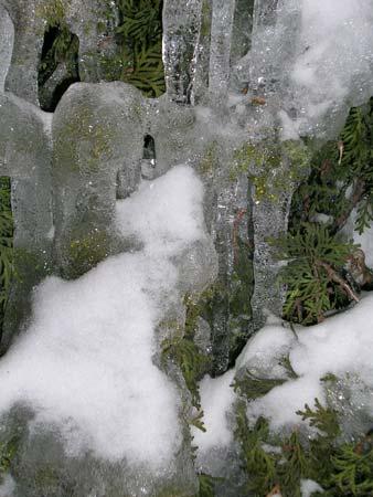 Nikon Coolpix 3700