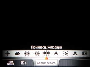 Samsung NX1000
