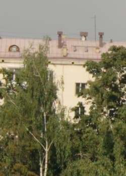 ЗЕНИТАР