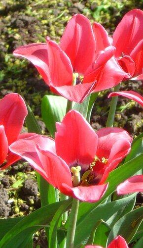 фото