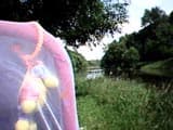 video1.avi, 4 040 КБ