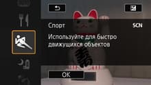 Видеокамера Canon Legria Mini X