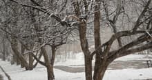 Видеосъемка фотоаппаратом. Panasonic DMC-GH4