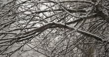 Видеосъемка фотоаппаратом. Panasonic DMC-GH4