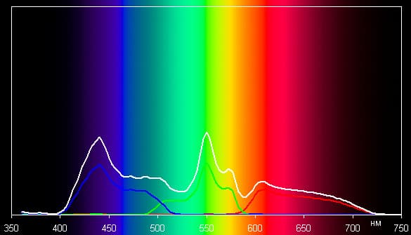 Spectrum
