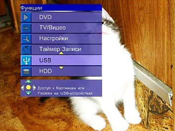 OSD