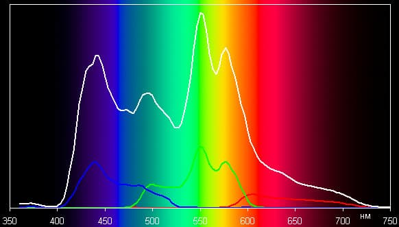 Spectrum