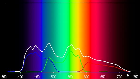 Spectrum