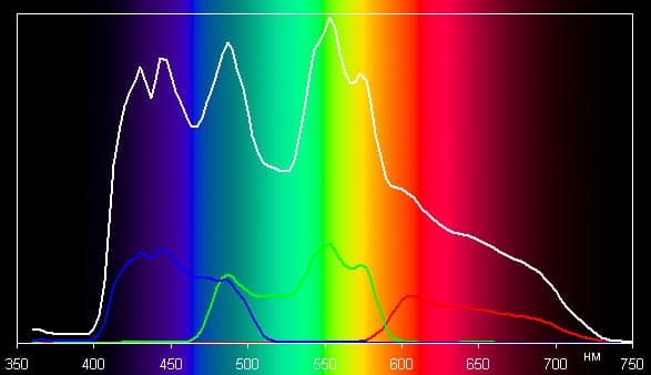 Spectrum