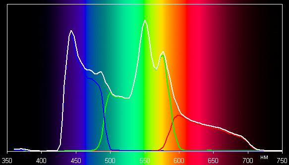 Spectrum