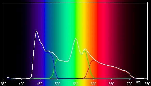 Spectrum