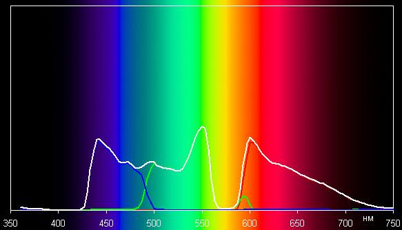 Spectrum