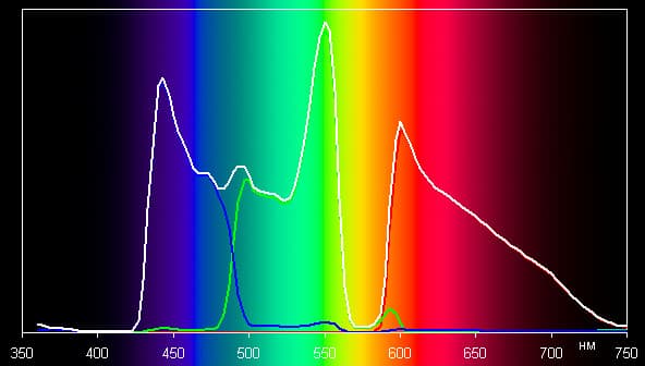 Spectrum