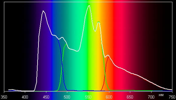 Spectrum