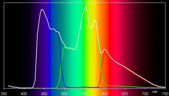 Spectrum