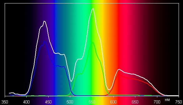 Spectrum