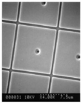 Micrograph of D-ILA pixel