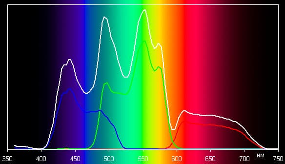 Spectrum