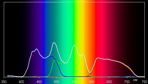 Spectrum