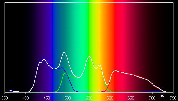 Spectrum