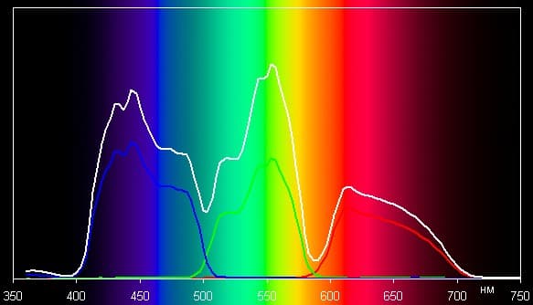 Spectrum