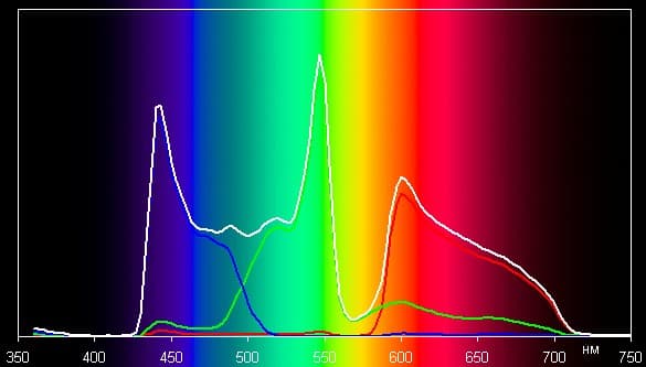 Spectrum ЦВЕТ1