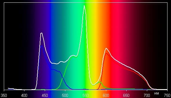 Spectrum ЦВЕТ2