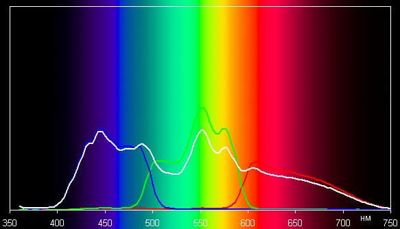 Spectrum