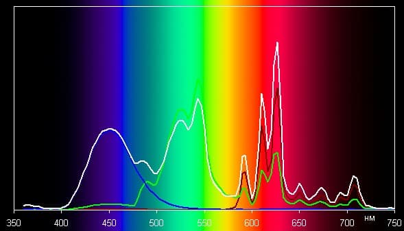 Spectrum