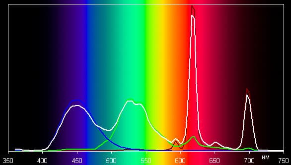 Spectrum