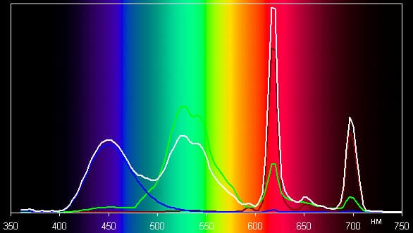 Spectrum