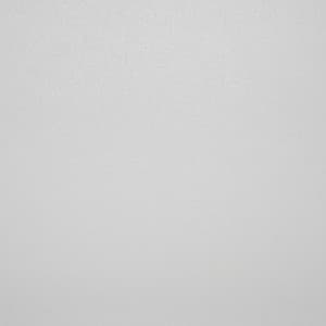 Matte White (MW)