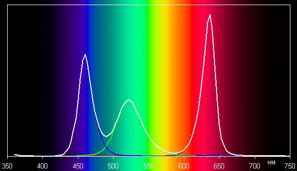 Spectrum