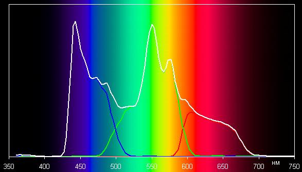 Spectrum
