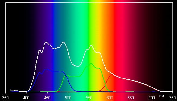 Spectrum