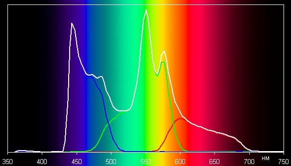 Spectrum