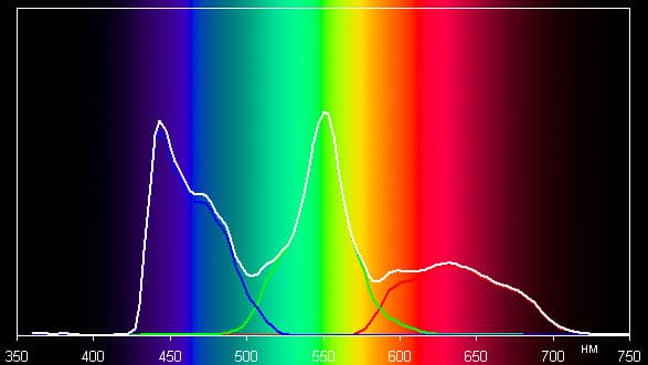 Spectrum