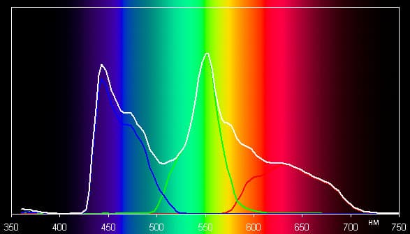 Spectrum