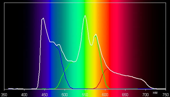 Spectrum