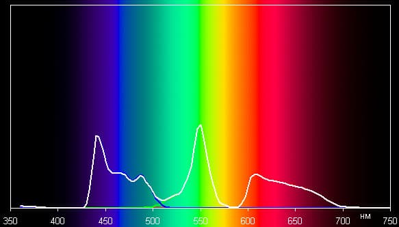 Spectrum