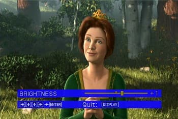 Brightness