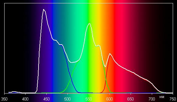Spectrum