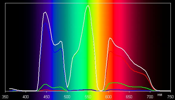 Spectrum